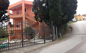 Ruza Vetrova